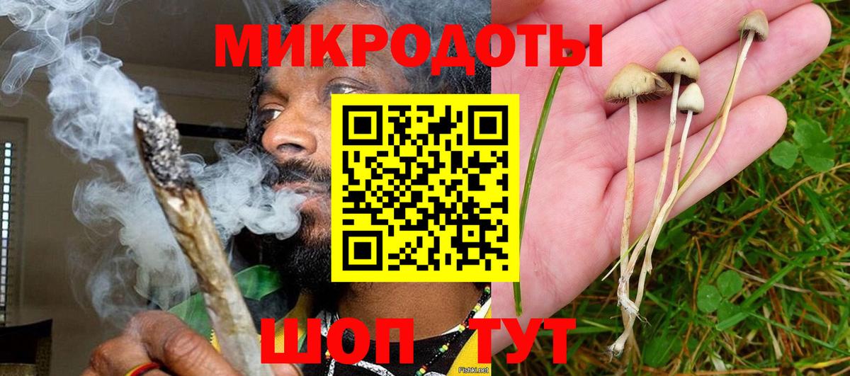 Галлюциногенные грибы GOLDEN TEACHER Можга